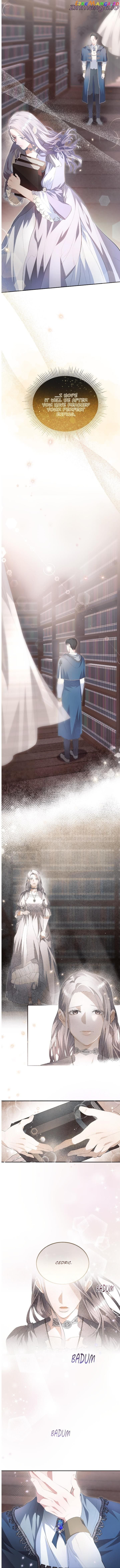 How to Protect My Male Lead Chapter 4 - page 8
