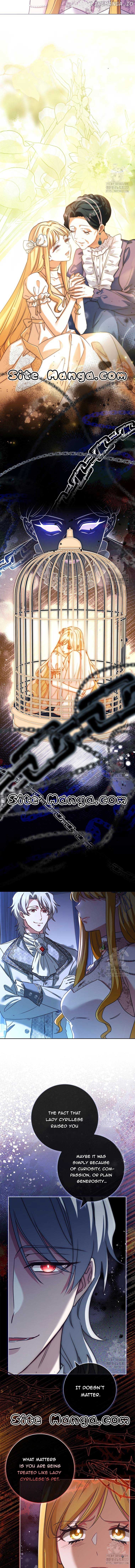Since My Time is Limited, I'm Entering A Contract Marriage Chapter 23 - page 11