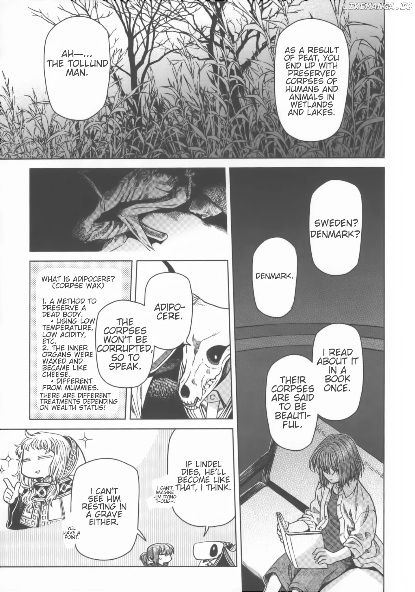Mahou Tsukai no Yome chapter 55.5 - page 8