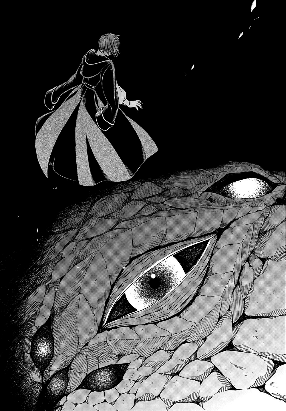 Mahou Tsukai no Yome chapter 81 - page 39