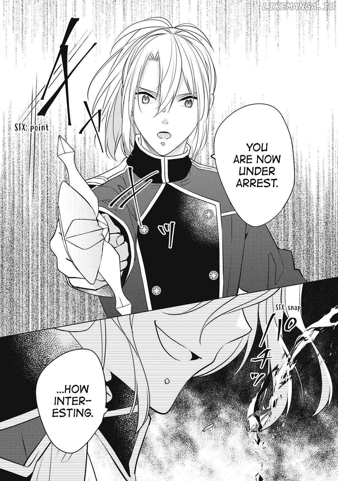 I’m Not A Villainess!! Just Because I Can Control Darkness Doesn’t Mean I’m A Bad Person! chapter 19 - page 5