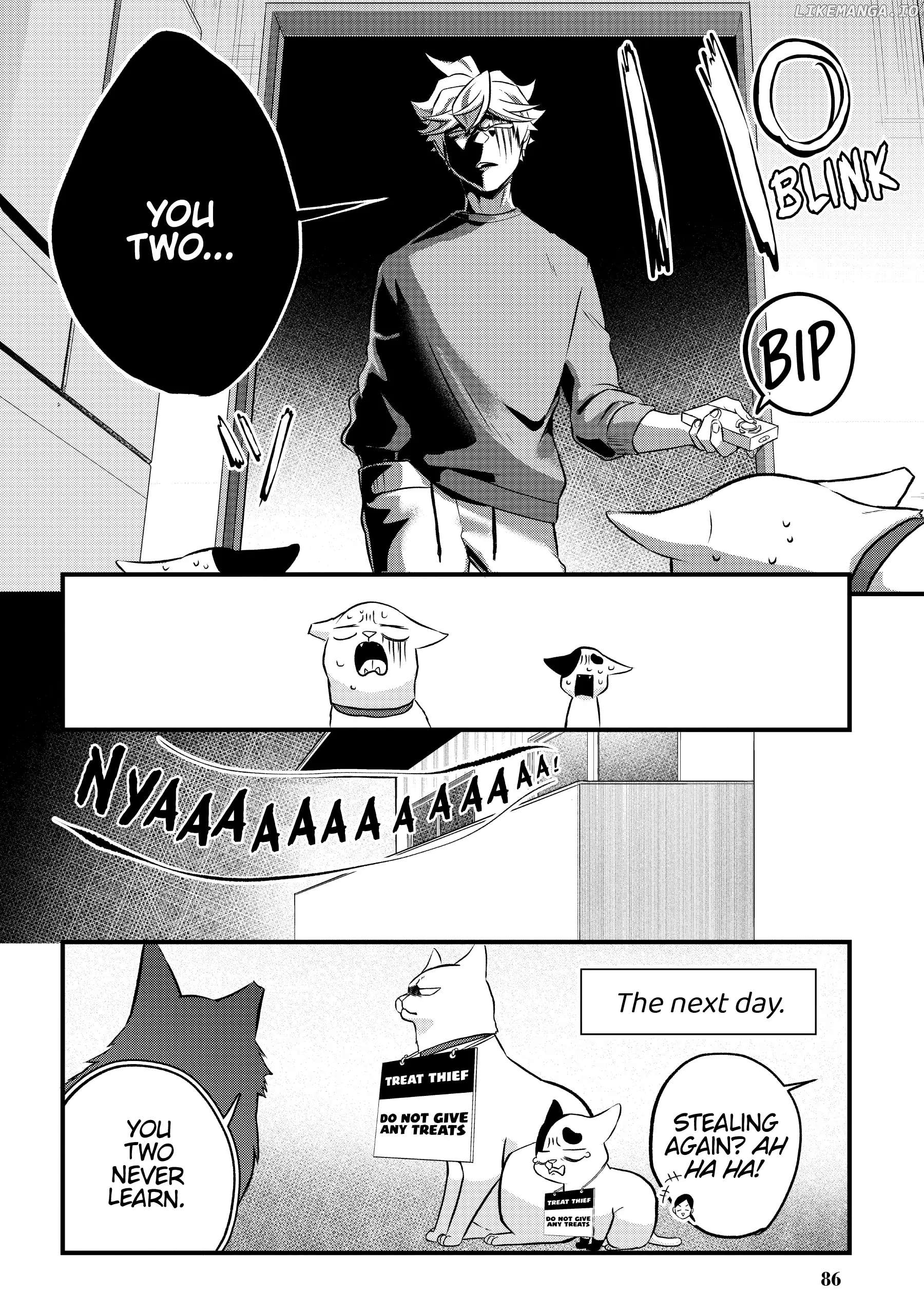 Hiroware Koneko To Moto Yakuza chapter 26 - page 12