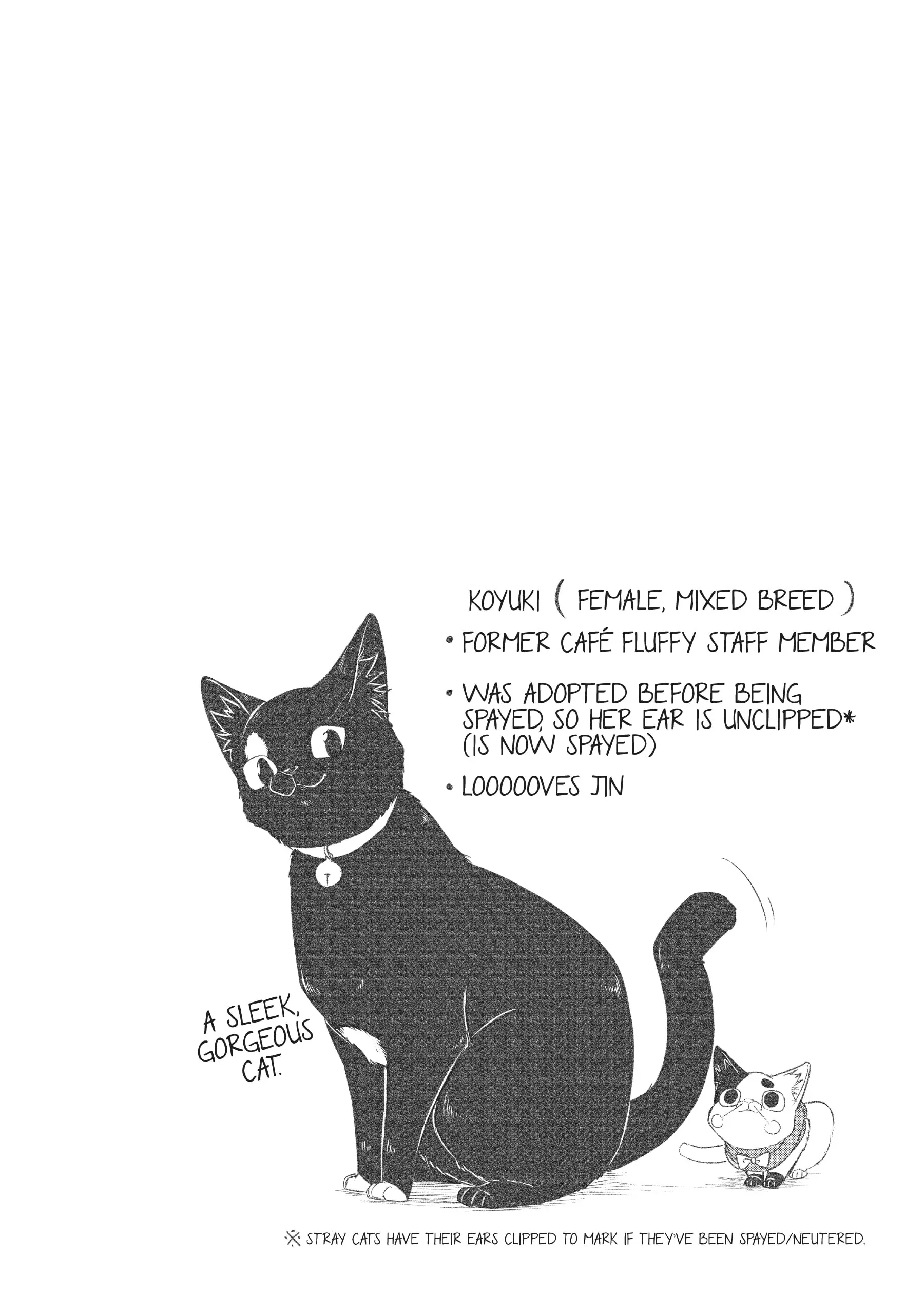 Hiroware Koneko To Moto Yakuza chapter 31 - page 14