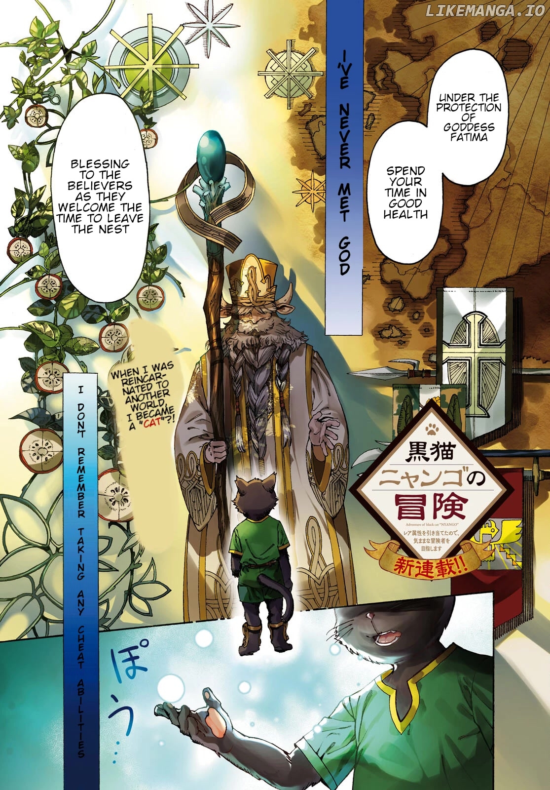 The Adventures of Black Cat "Nyango": Since I got a rare attribute, I aim to be a carefree adventurer. chapter 1 - page 2