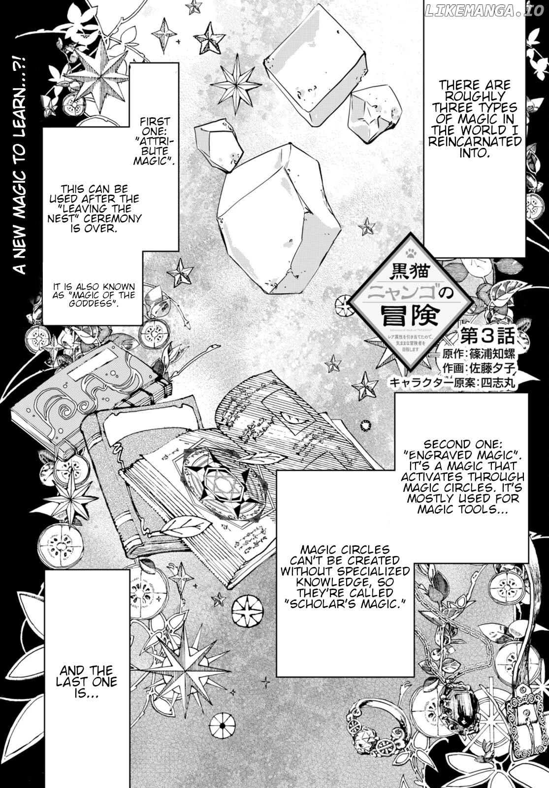 The Adventures of Black Cat "Nyango": Since I got a rare attribute, I aim to be a carefree adventurer. chapter 3 - page 2