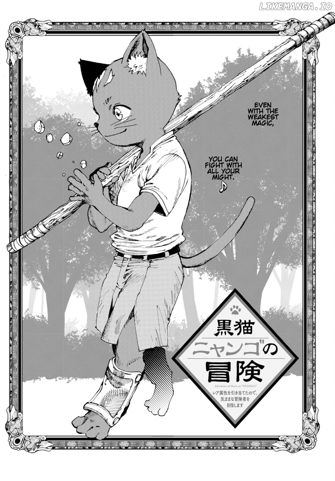 The Adventures of Black Cat "Nyango": Since I got a rare attribute, I aim to be a carefree adventurer. chapter 4 - page 2