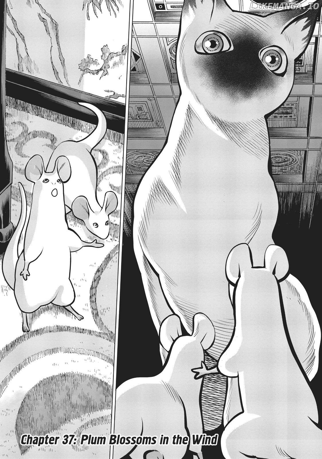 Dance in The Vampire Bund a.s.o. chapter 37 - page 2