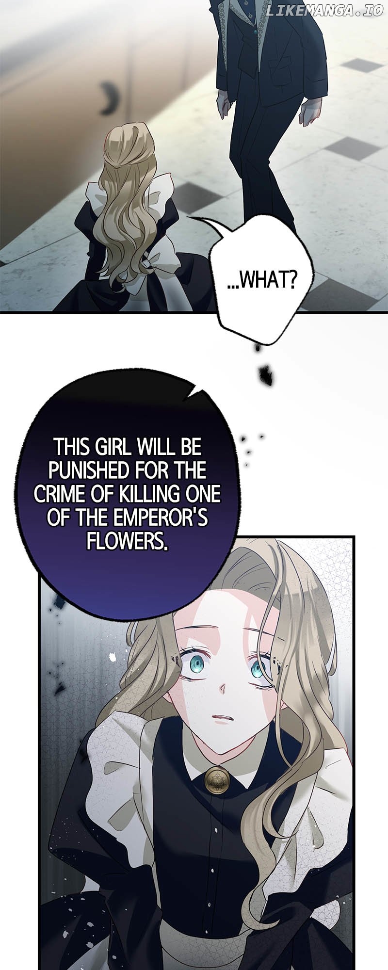 To Kill My One and Only Solace Chapter 11 - page 42