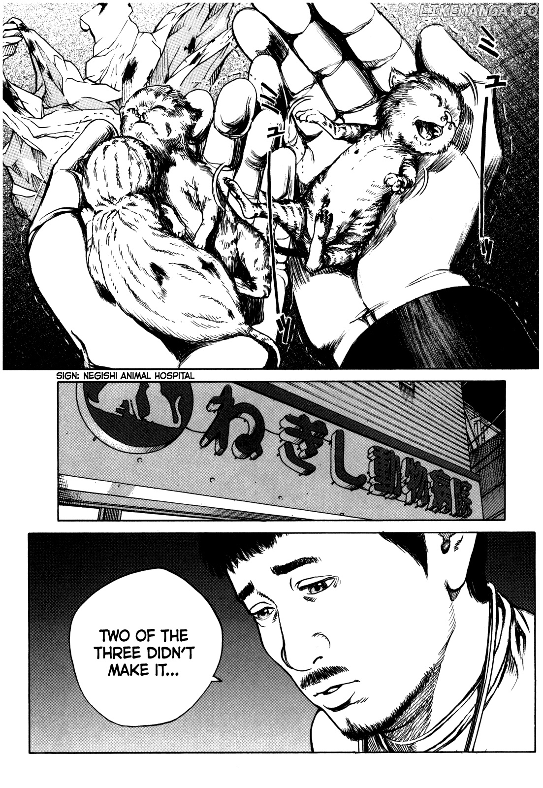 Bambino! Secondo chapter 51 - page 14