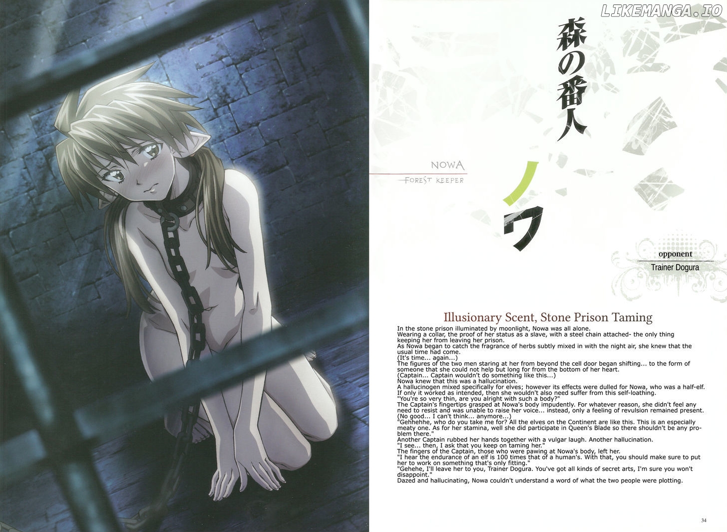 Queen's Blade - Vanquished Queens (Artbook) chapter 1 - page 17