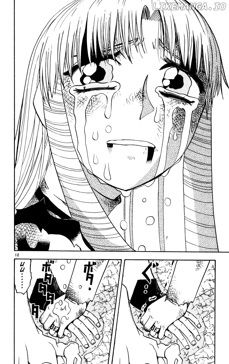Konjiki No Gash!! chapter 161 - page 12