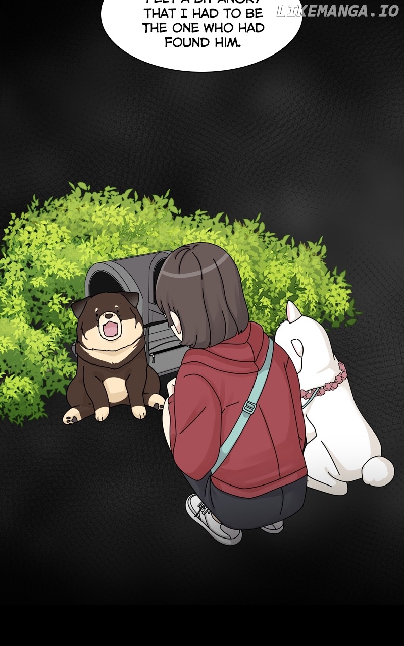 The Dog Diaries Chapter 136 - page 37