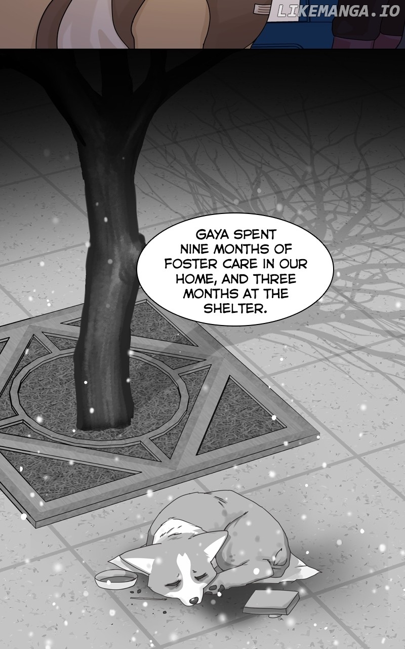 The Dog Diaries Chapter 138 - page 15