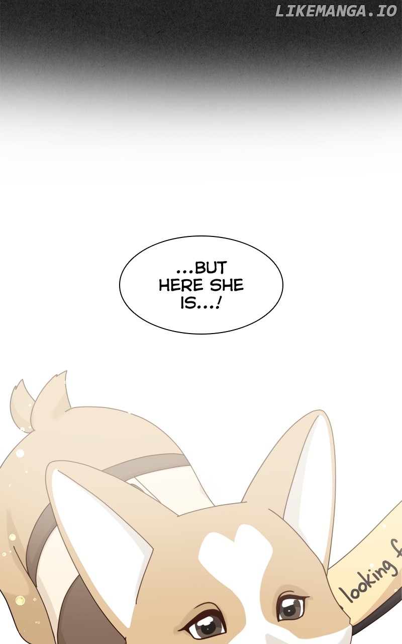 The Dog Diaries Chapter 138 - page 21