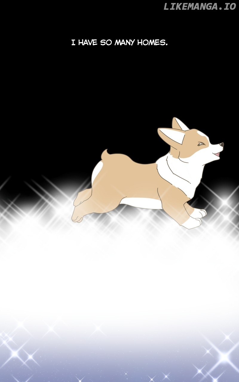 The Dog Diaries Chapter 138 - page 58