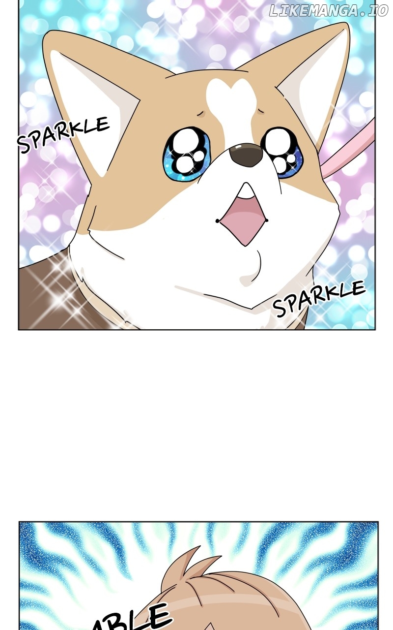 The Dog Diaries Chapter 138 - page 62