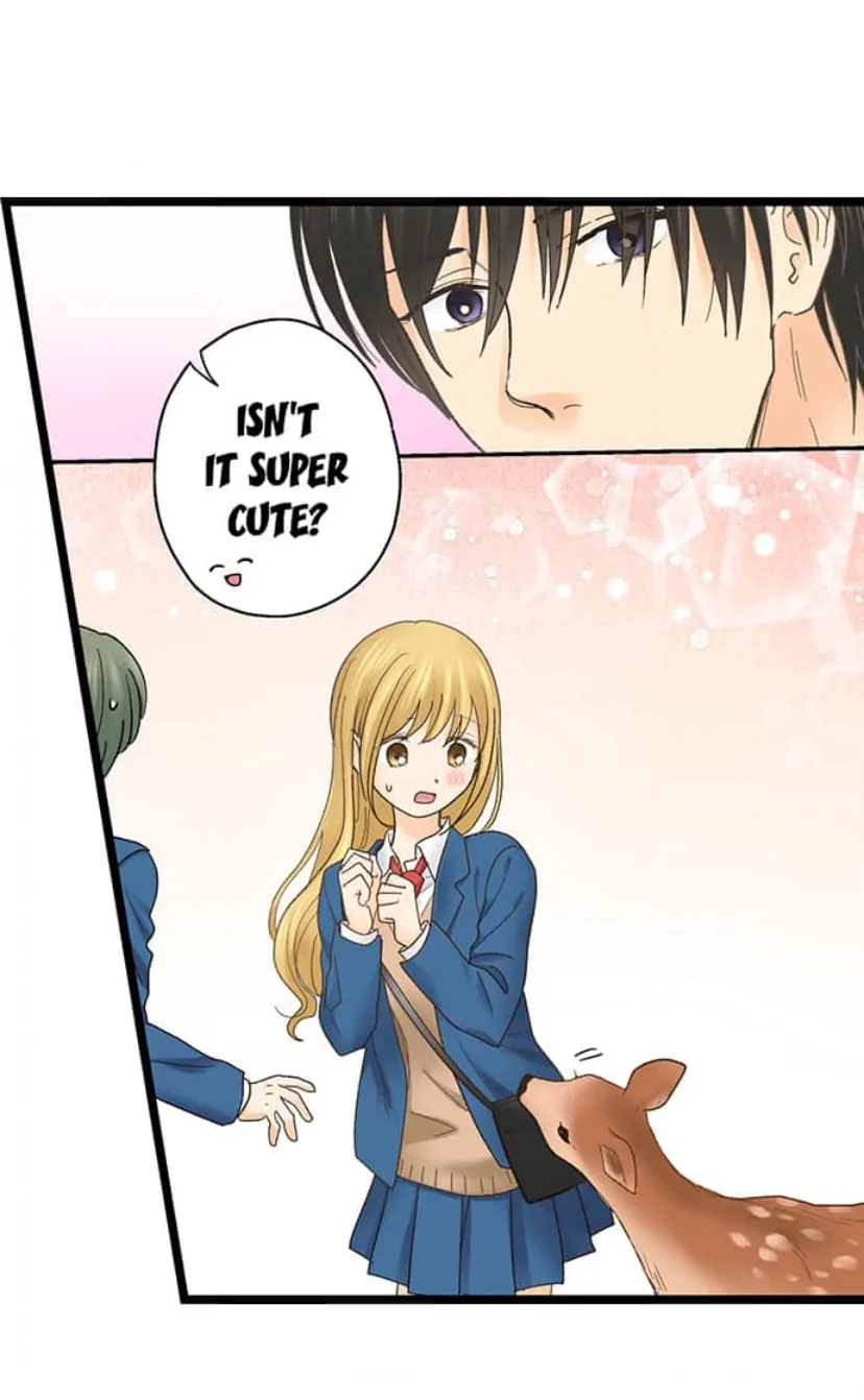 Running A Love Hotel With My Math Teacher Chapter 209 - page 24