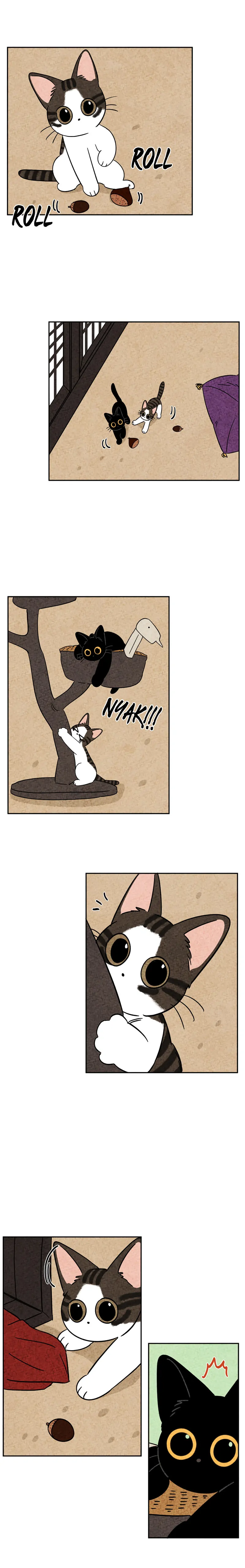 The Tale Of Goldiluck, The Black Kitten Chapter 56 - page 7
