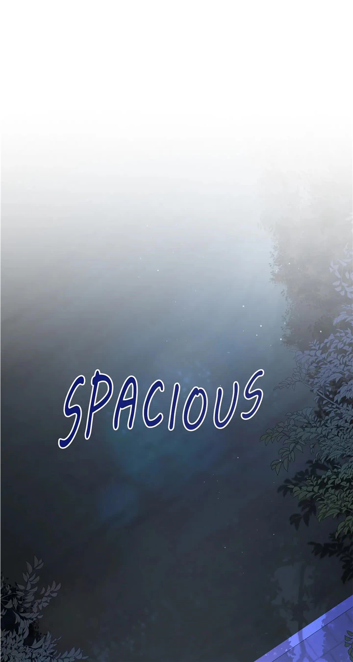There Are Too Many Second Male Leads! Chapter 8 - page 27