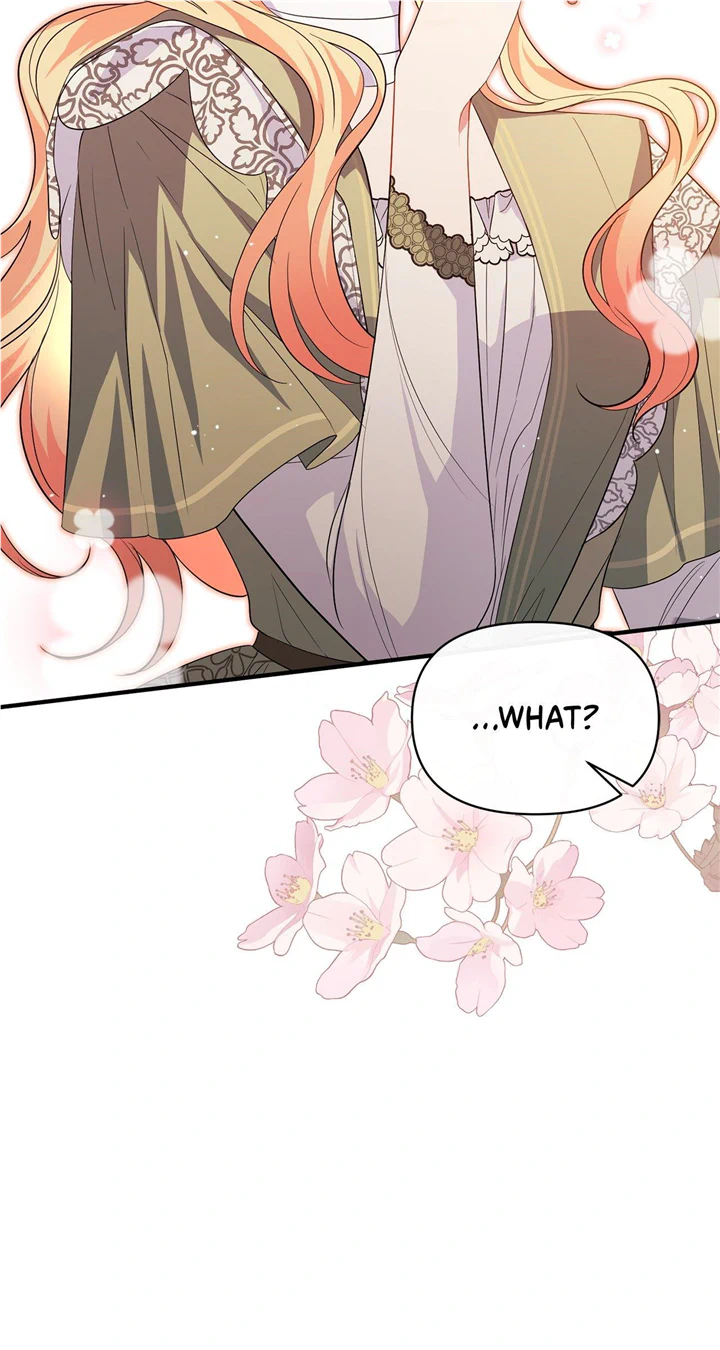 There Are Too Many Second Male Leads! Chapter 13 - page 64