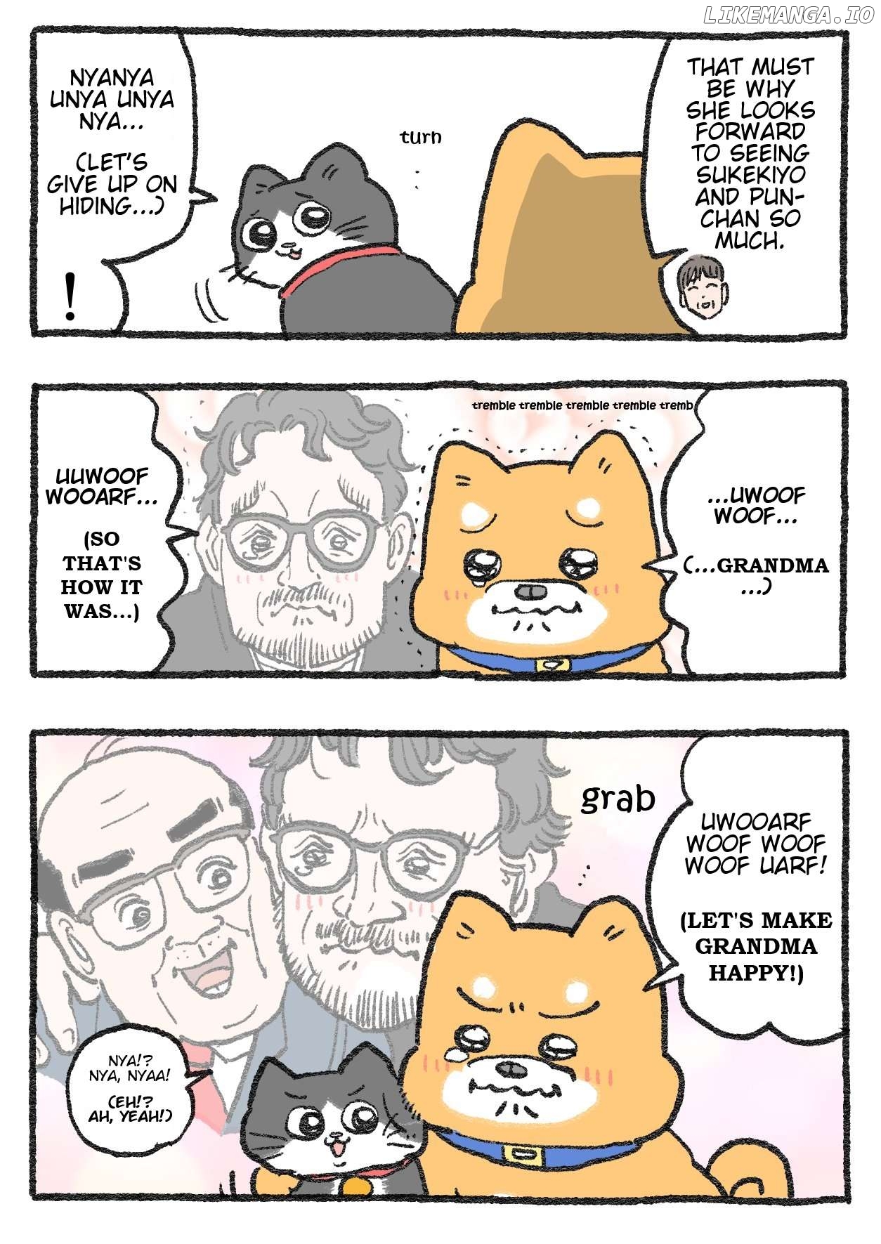 The Old Man Who Was Reincarnated As A Cat Chapter 362 - page 2