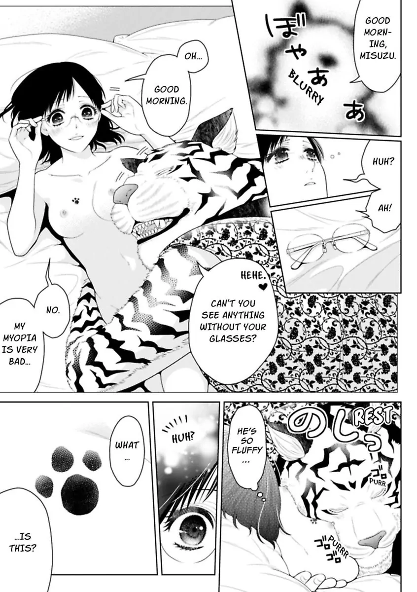 The White Tiger Loves Me to Death: A Fluffy Yet Passionate Love Story Chapter 3 - page 3