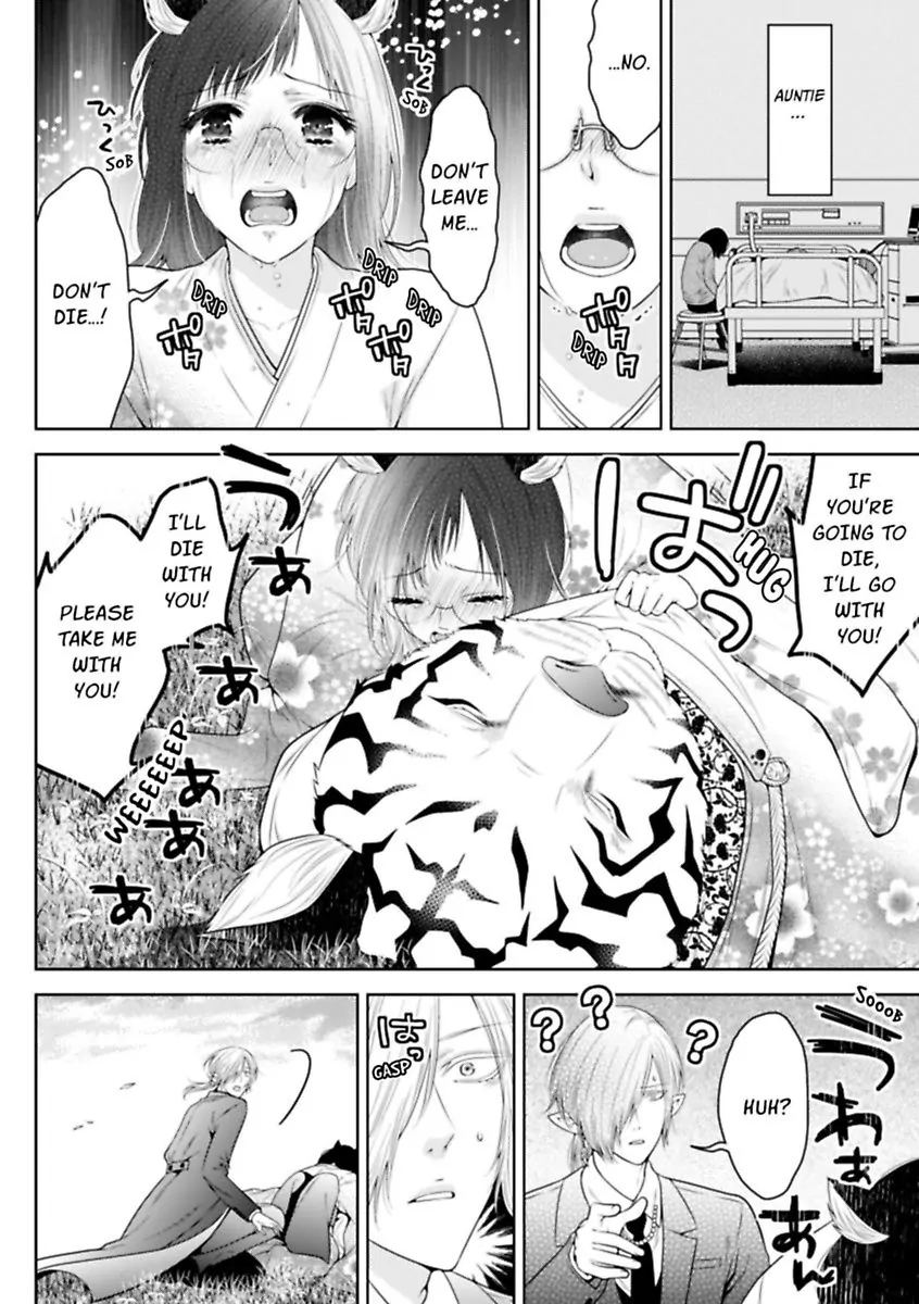 The White Tiger Loves Me to Death: A Fluffy Yet Passionate Love Story Chapter 5 - page 4