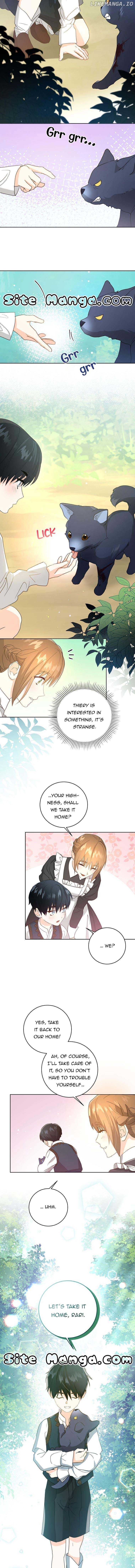 I Have Never Abandoned the Tyrant Chapter 3 - page 8