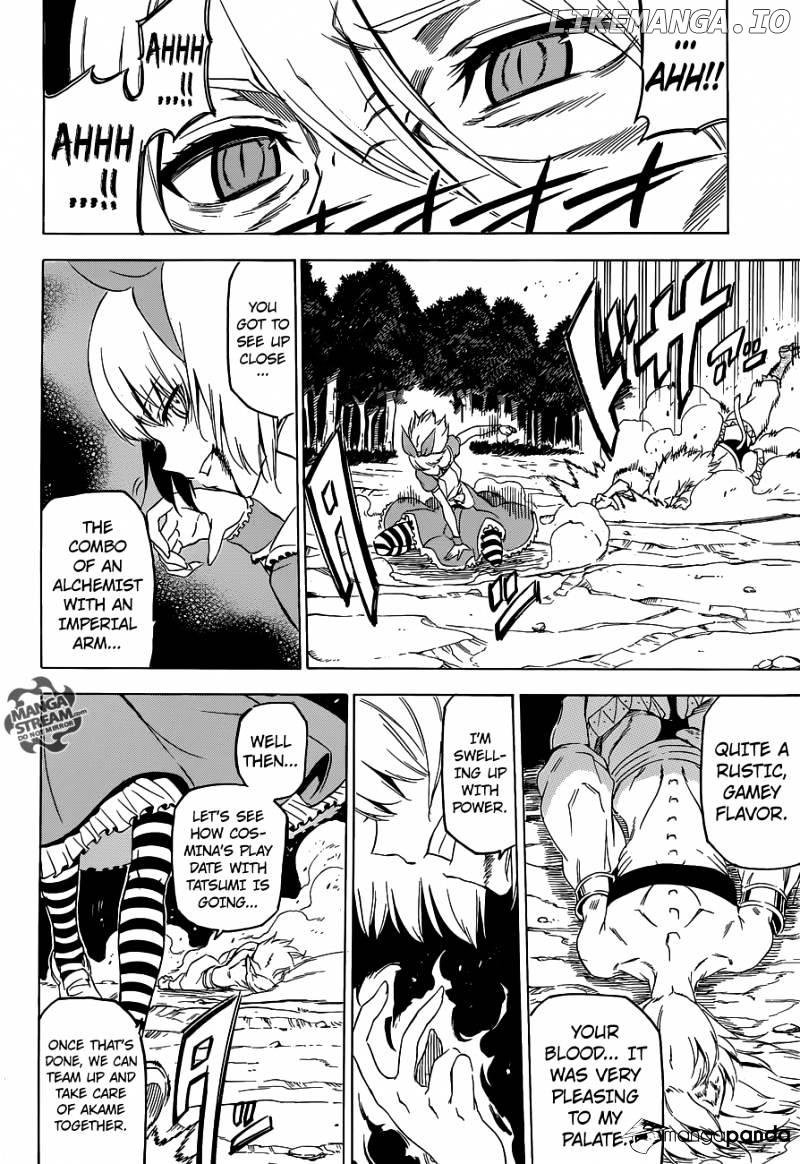 Akame ga Kill! chapter 60 - page 12
