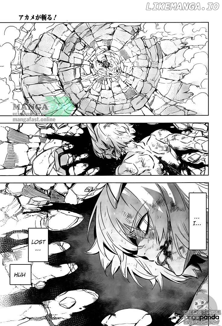 Akame ga Kill! chapter 73 - page 19