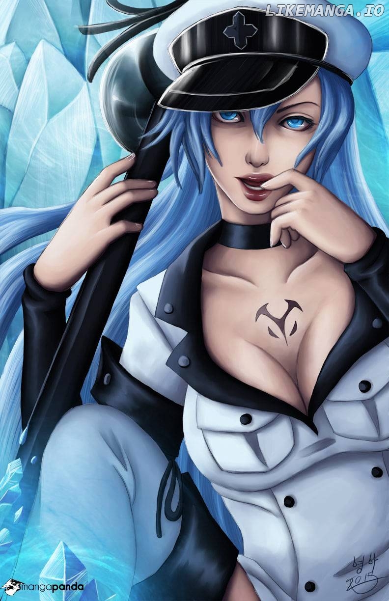 Akame ga Kill! chapter 64 - page 4