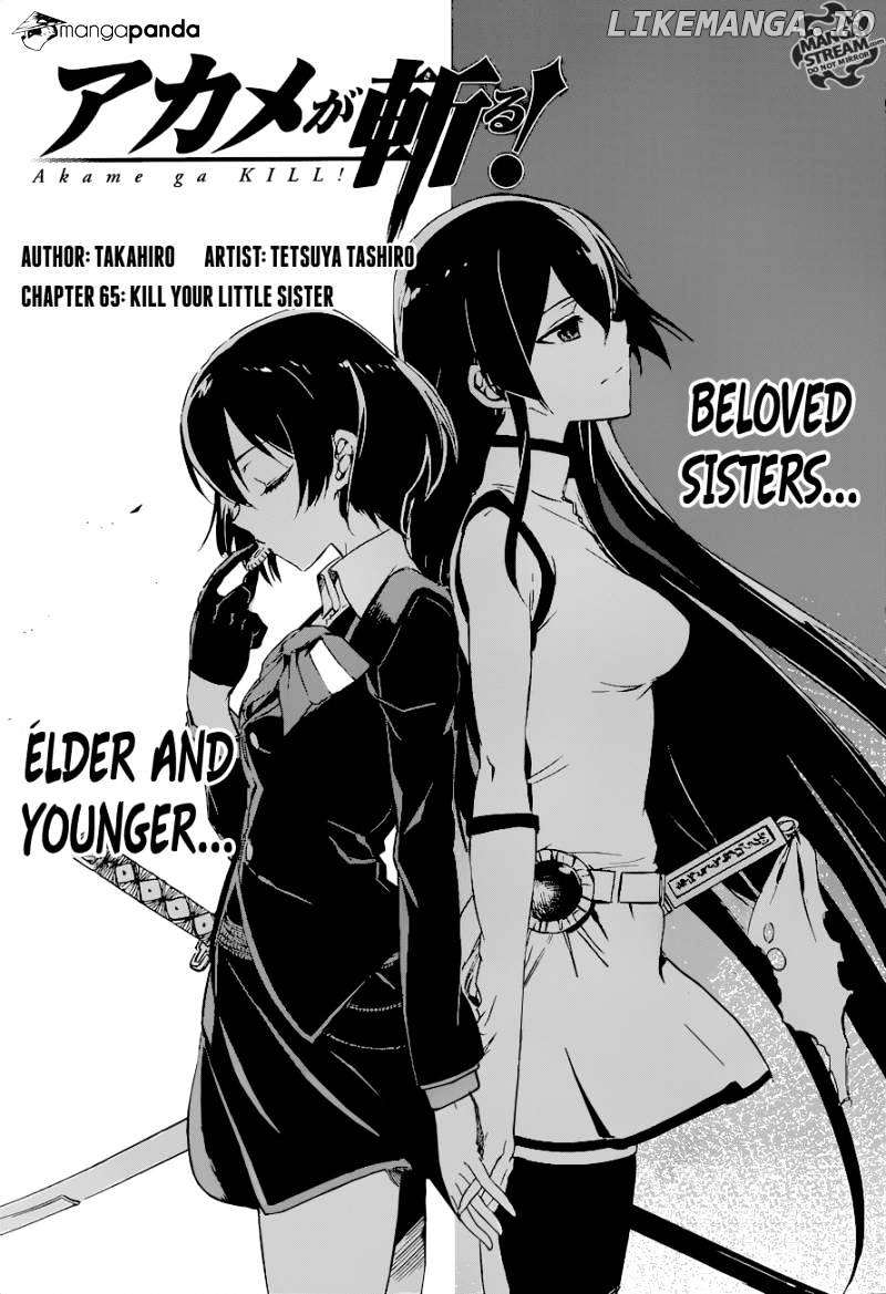 Akame ga Kill! chapter 65 - page 5