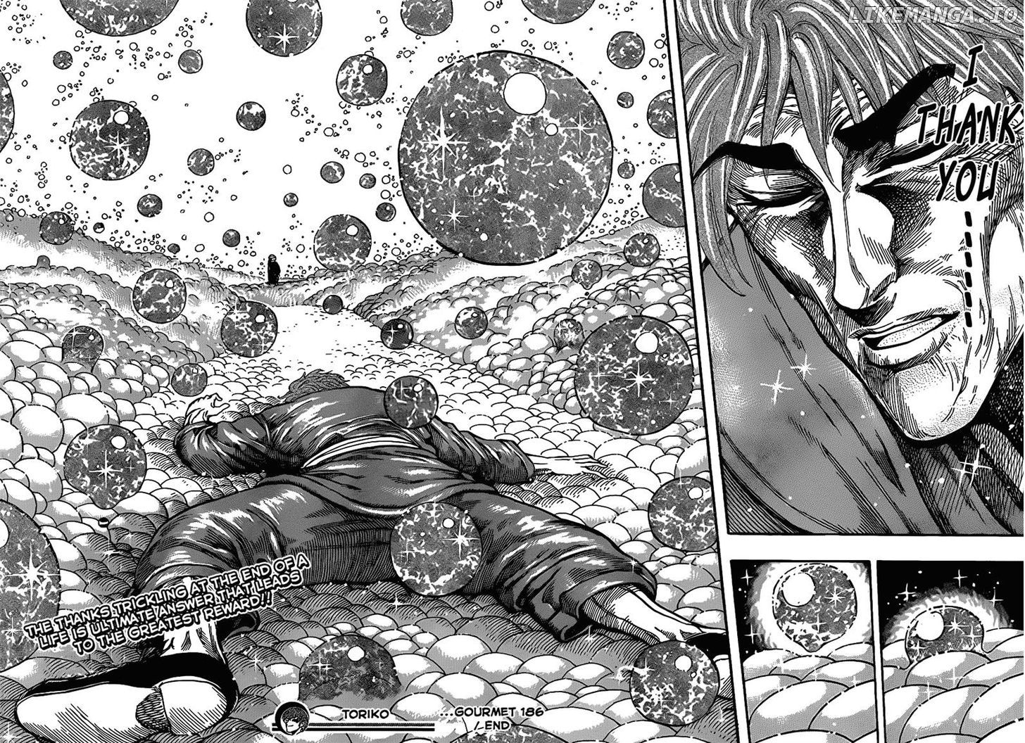 Toriko - Manga chapter 186 - page 17