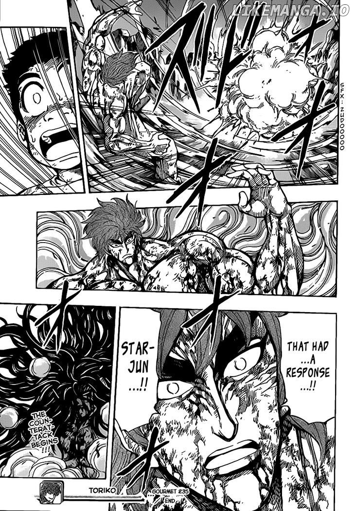 Toriko - Manga chapter 235 - page 18