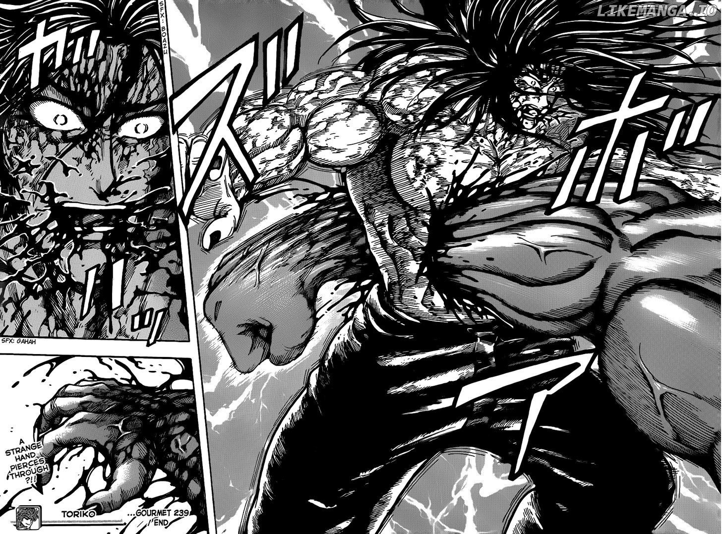Toriko - Manga chapter 239 - page 18