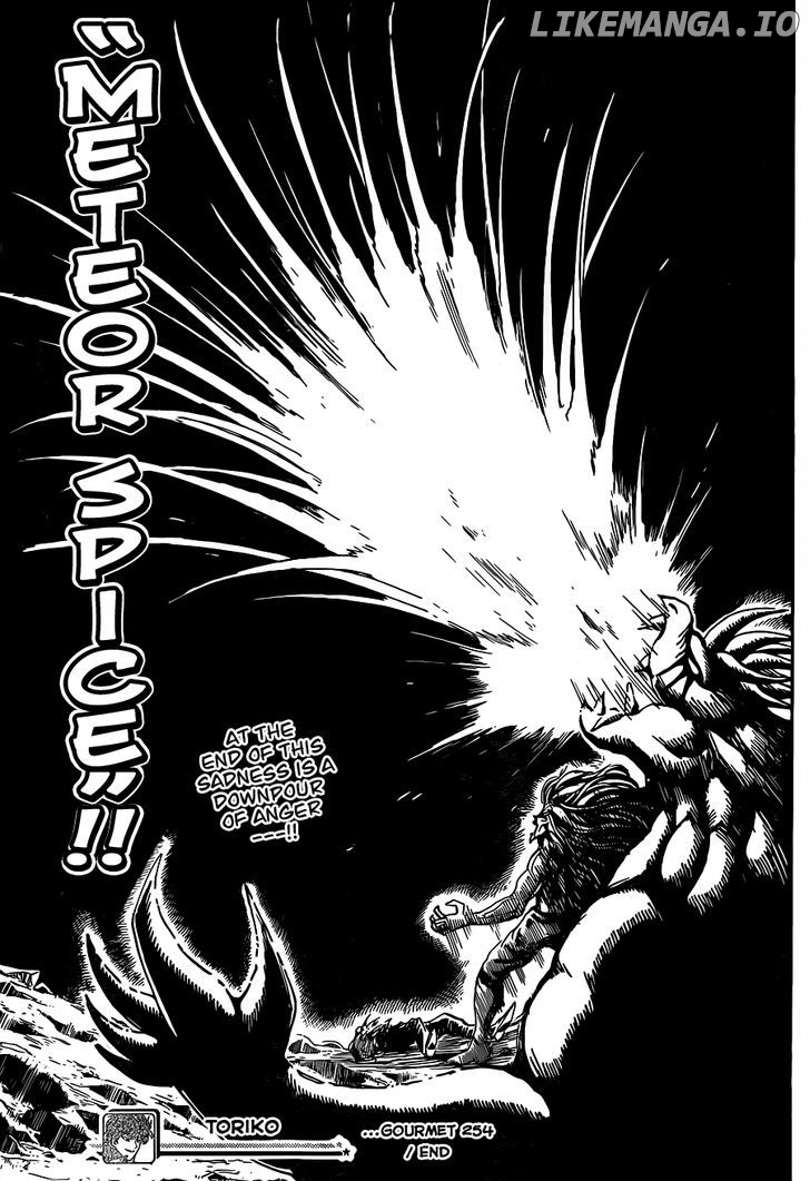 Toriko - Manga chapter 254 - page 19