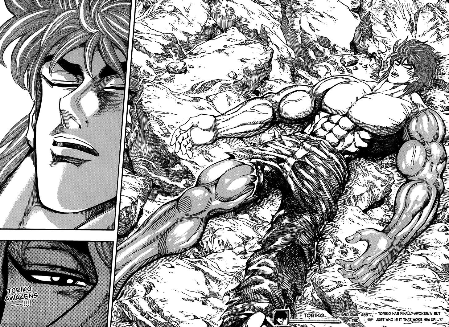 Toriko - Manga chapter 255 - page 17