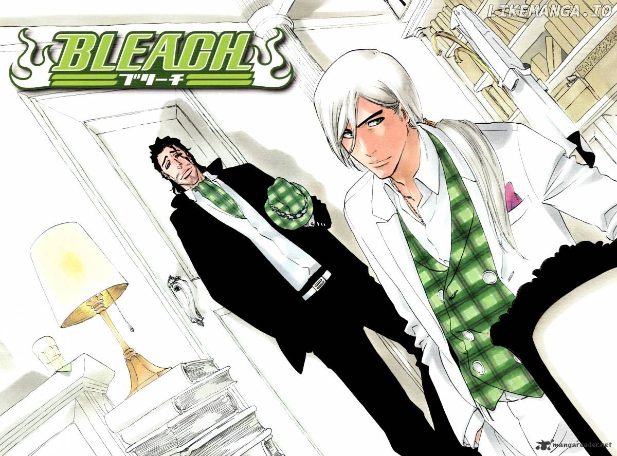Bleach - Manga Chapter 335 - page 25