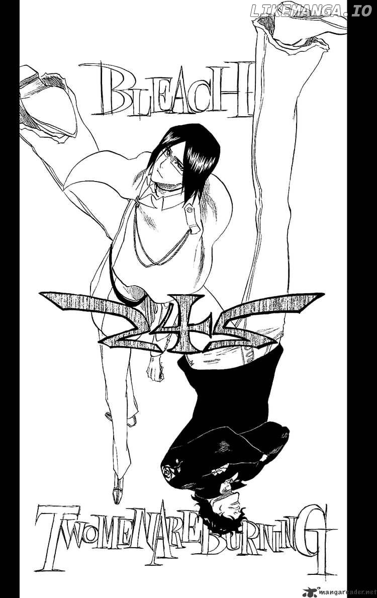 Bleach - Manga Chapter 242 - page 6