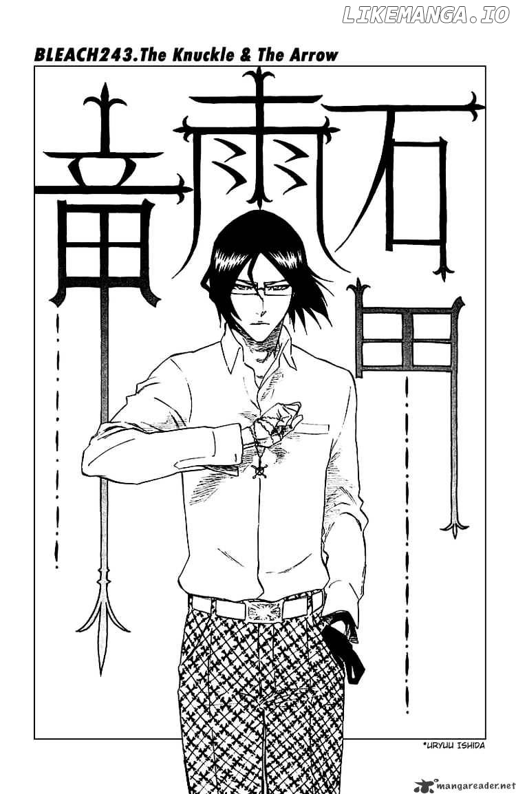 Bleach - Manga Chapter 243 - page 10