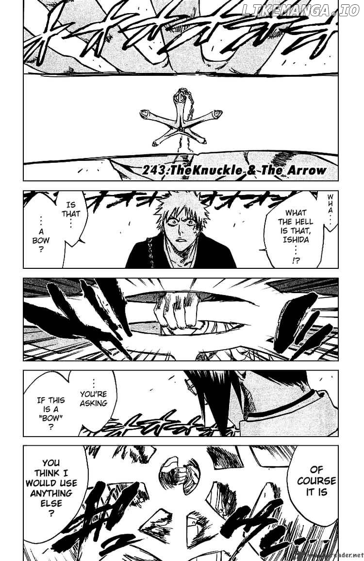 Bleach - Manga Chapter 243 - page 6