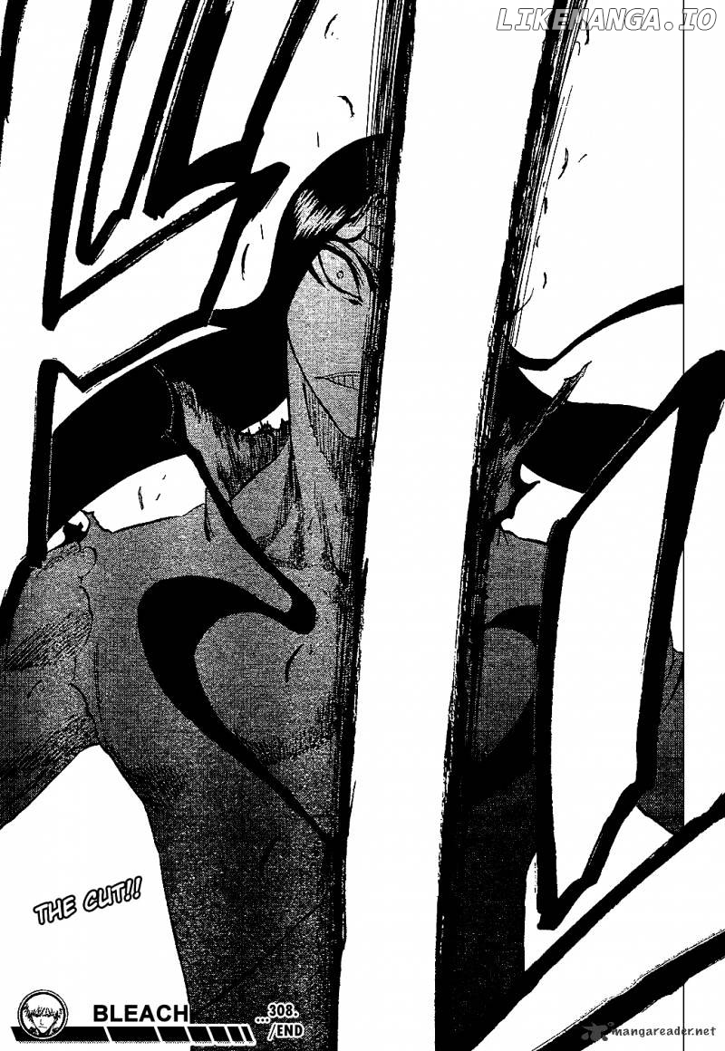 Bleach - Manga Chapter 308 - page 21