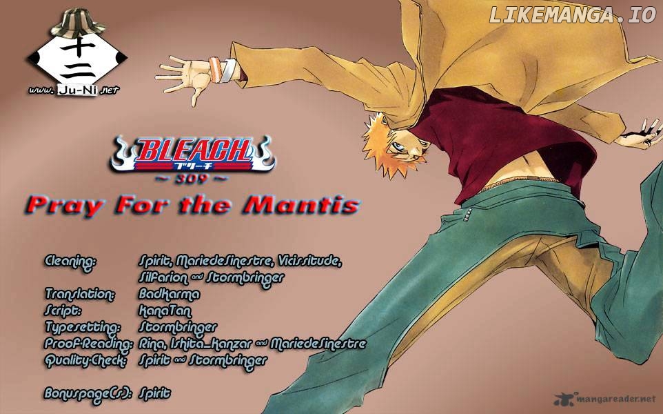 Bleach - Manga Chapter 309 - page 1