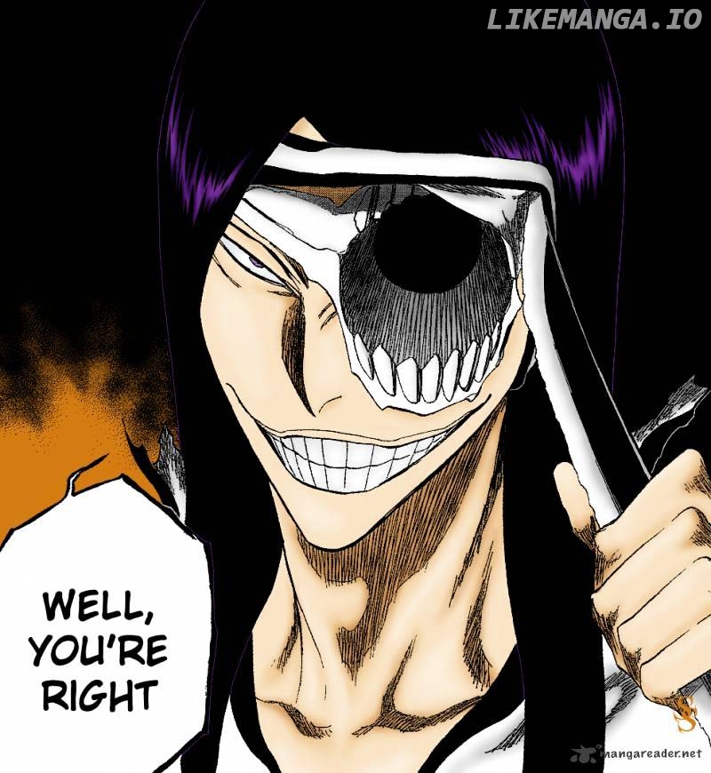 Bleach - Manga Chapter 309 - page 22