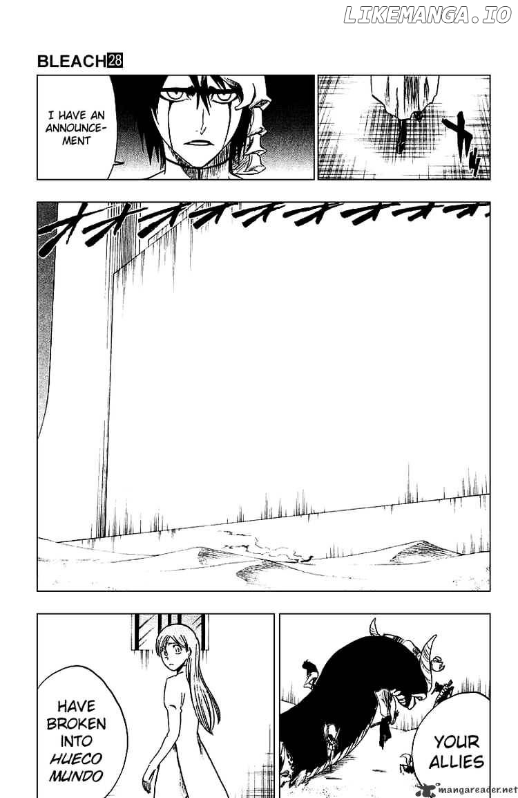 Bleach - Manga Chapter 247 - page 17