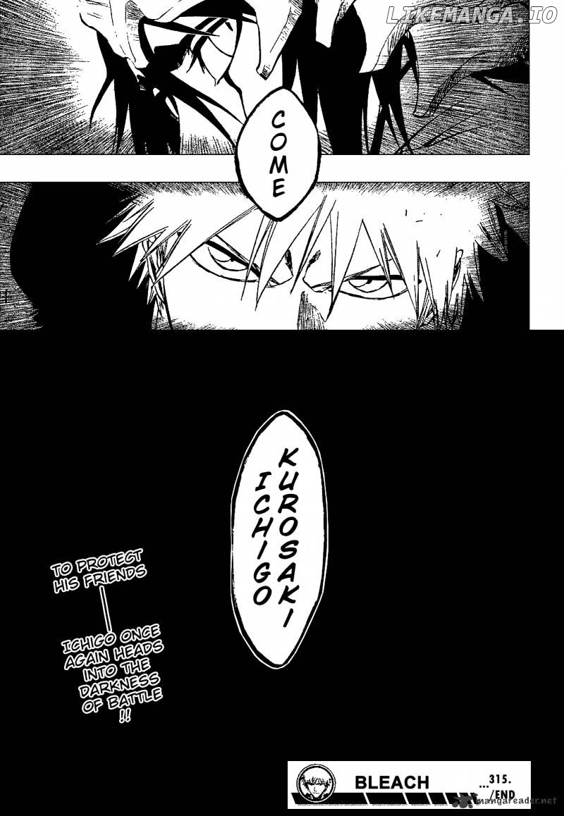 Bleach - Manga Chapter 315 - page 18