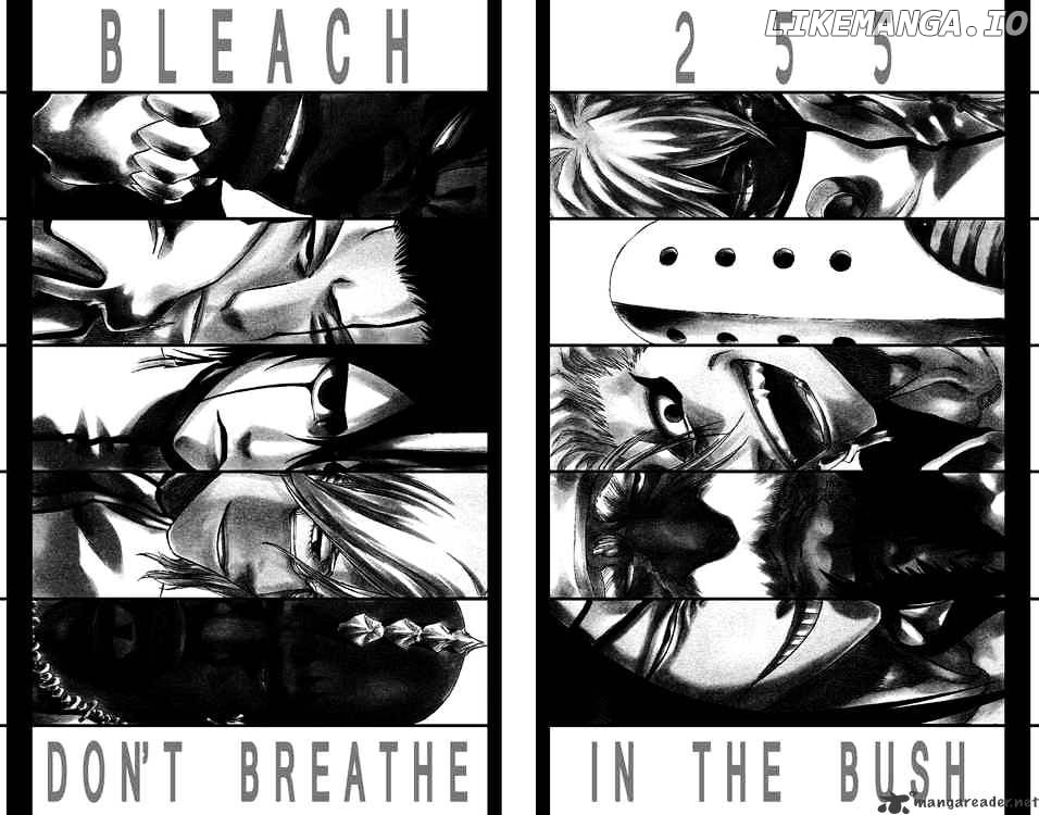 Bleach - Manga Chapter 255 - page 2