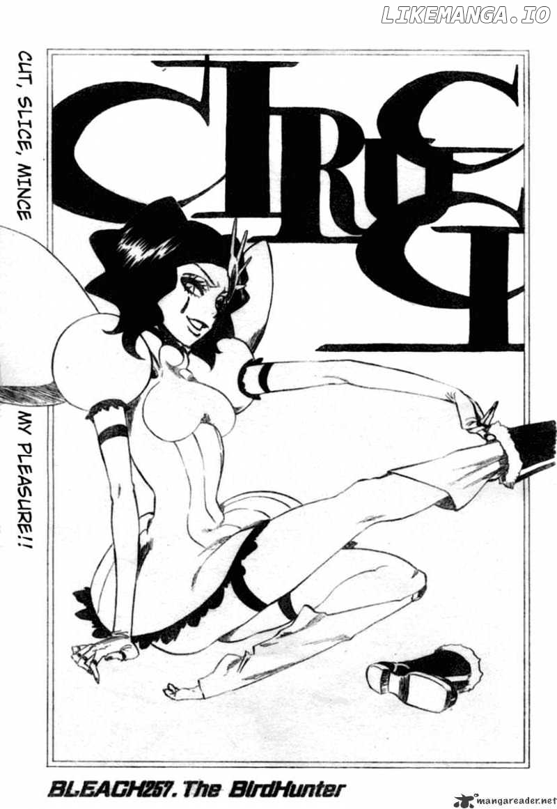 Bleach - Manga Chapter 257 - page 4