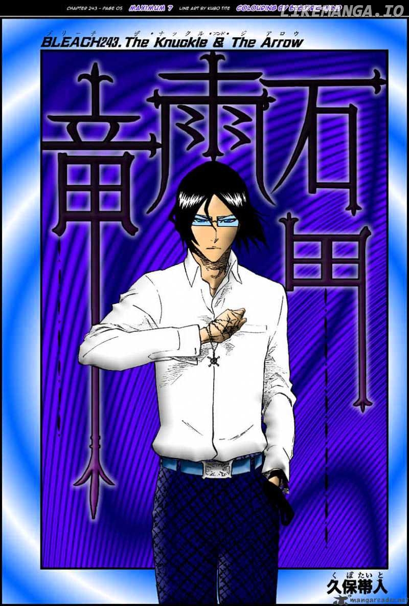 Bleach - Manga Chapter 269 - page 24