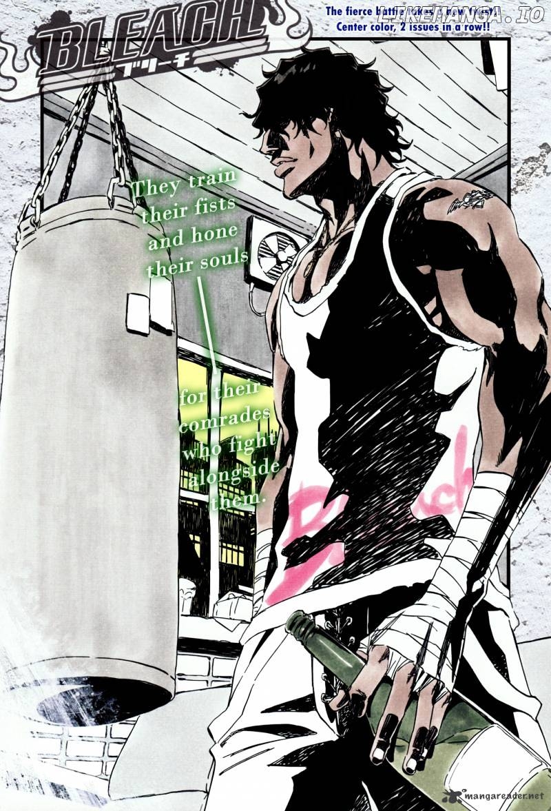 Bleach - Manga Chapter 363 - page 4